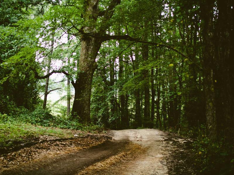 sudoku jigsaw puzzle